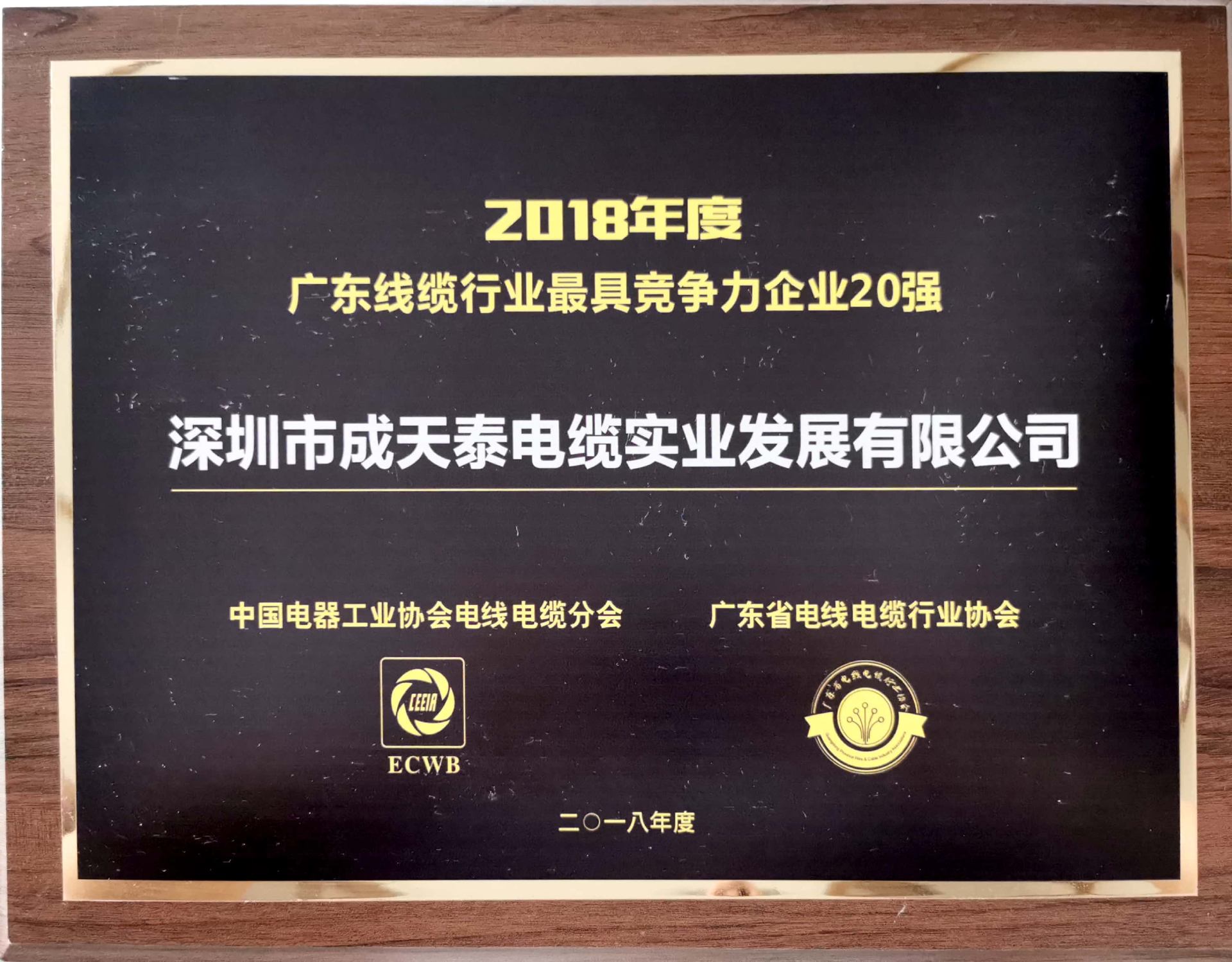 Top 20 Most Competitive Cable Enterprise — Guangdong
